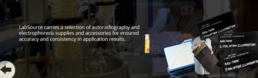 autoradiography electrophoresis autoradiography